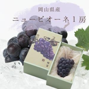 岡山県産ニューピオーネ 1房 岡山産 ニューピオーネ 1房（約600g） : 晴富 Yahoo!ショッピング店