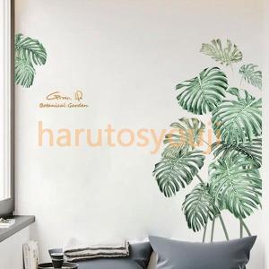 南国風の観葉植物の商品一覧 通販 Yahoo ショッピング