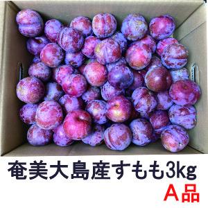 奄美プラム 3キロ セール中