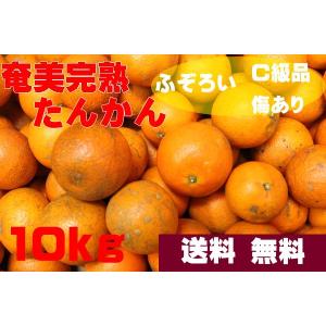 奄美大島 訳あり たんかん タンカン みかん ご家庭用 20kg／Lサイズ