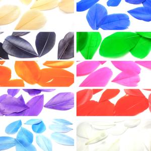 フェザー 羽根 ガチョウ 10枚セット 染め 装飾 素材