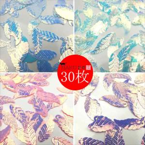 スパンコール リーフ 羽根 葉 30mm 30枚セット 穴 ホール