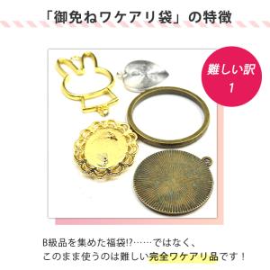 訳有り御免ね袋 アクセサリーパーツ お一人様1...の詳細画像2