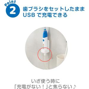 シースター ベビースマイルレインボー専用 歯ブ...の詳細画像2