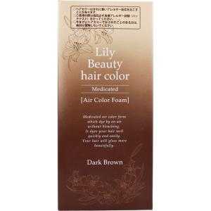 リフレ リリービューティーヘアカラー ダークブラウン 80g 泡タイプ｜harvest-garden