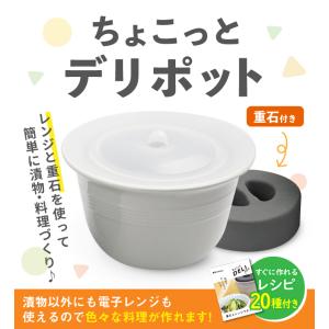 クリヤマ ケデップ ちょこっとデリポット 重石付 (K+dep) 漬物 レンジ調理容器｜harvest-garden