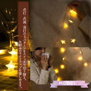 イルミネーションライト LEDライト ガーラン...の詳細画像2
