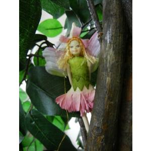 Garden Fairy ガーデン・フェアリー...の詳細画像1