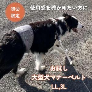 harzth ハーズ　マナーベルト　大型犬用　犬マナーベルト　初回お試し