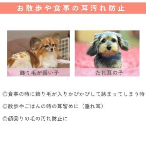 Harzth ハーズ スヌード S エプロンカ...の詳細画像4