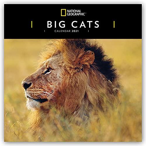 WWF Big Cats - Raubkatzen 2024: Original Carousel-...