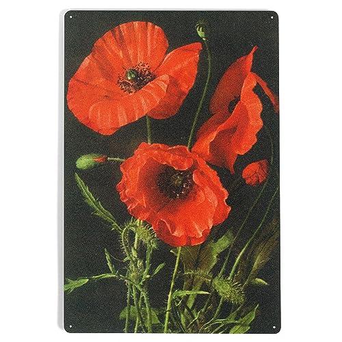 Corn Poppy Flowers 12 x 18 Metal Sign LANT-17631-1...