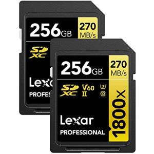 Lexar ゴールドシリーズ プロフェッショナル 1800x 256GB