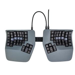 有線】Kinesis Advantage360【キネシス アドバンテージ360】[KB360-GBR