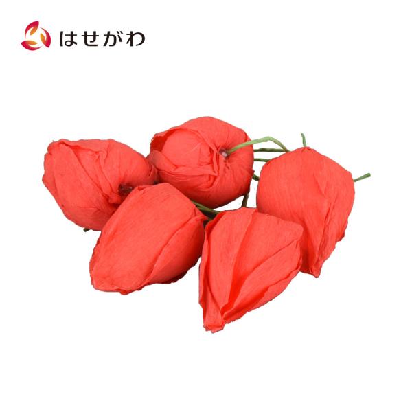 盆用品 盆飾り お盆 盆提灯 提灯 新盆 初盆 「お盆用品 ほおずき バラ5個入」 お仏壇のはせがわ