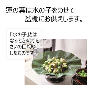 盆用品 盆飾り お盆 盆提灯 提灯 新盆 「お...の詳細画像2