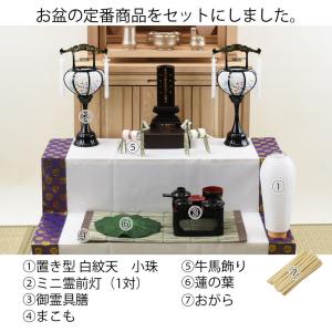 盆提灯 岐阜提灯 提灯 初盆 新盆 セット ギ...の詳細画像2