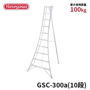 三脚脚立 r201_369.jpg