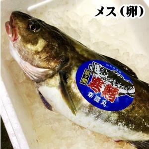 山形県産 真鱈 寒鱈 メス たらこ 4ｋｇ一尾 8 10人前 マダラ 真ダラ 寒ダラ 鱈 1月中旬より順次発送 103 長谷川鮮魚 通販 Yahoo ショッピング