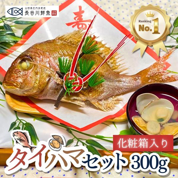 ＼new／お食い初め 鯛『タイハマセット』鯛300g(1〜2人前サイズ) 【ギフト仕様(化粧箱)】蛤...