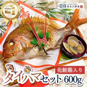 お食い初め 鯛 ハマグリ セット 600g 送料無料 祝鯛 敷...