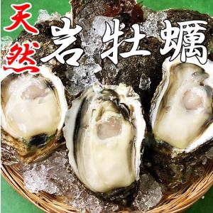 岩牡蠣 天然 日本海産 大10個 2.6〜3.0ｋ（260〜300g） 生食用 カラ割り 殻付き 岩がき 岩ガキ お中元 ギフト 贈答 バーベキュー