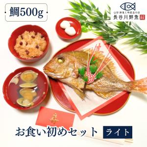お食い初めセット≪ライト≫  鯛500g(2〜3人前サイズ) 料...