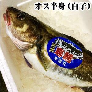 山形県産 真鱈 寒鱈 オス 白子 4ｋｇを半身（4〜5人前） マダラ 真ダラ 寒ダラ 鱈 1月中旬より順次発送