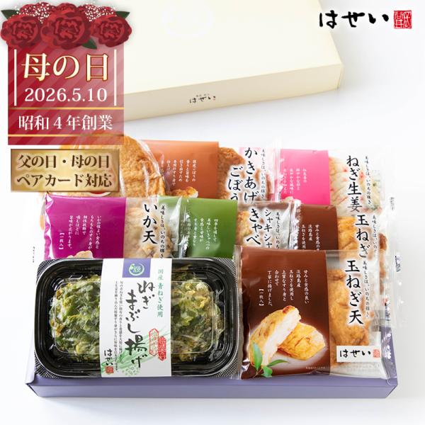 母の日 父の日 ギフト プレゼント 内祝い さつま揚げ おつまみ 練り物 2026 選味食べ比べセッ...