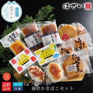 かまぼこ 蒲鉾 さつま揚げ 練り物 母の日 2024 プレゼント ギフト 食べ物 ギフトセット 内祝い おつまみ お返し 養老かまぼこセット 化粧箱入り 真空パック 老舗