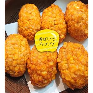 さつま揚げ さつまあげ 薩摩揚げ 練り物 真空...の詳細画像2