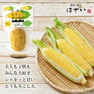 さつま揚げ さつまあげ 薩摩揚げ 練り物 真空...の詳細画像3