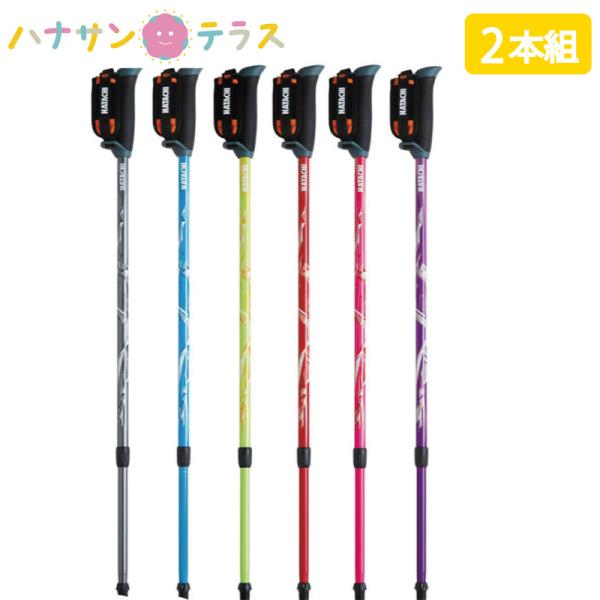 ウォーキング ポール 羽立工業 DFP プログレッシブズーム 2本1組 ノルディックウォーキング