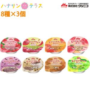 ホリカフーズ 介護食 栄養支援 茶碗蒸し 詰め合わせ 6種類×各4個入