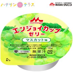 enjoi（エンジョイ） 介護食 エンジョイゼリープラス いろいろセット
