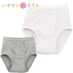 尿漏れパンツ 失禁パンツ 中失禁 40cc 2枚組 綿100% 介護 下着 M L LL パッド パット ブリーフ 男性 メンズ 用 紳士 38907｜hashbaby