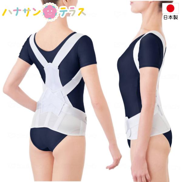 お医者さんのがっちり背すじベルト M L LL アルファックス 日本製 上半身用 サポーター 背筋用...