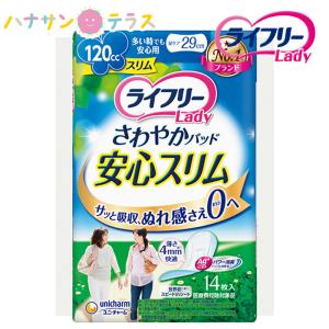 ライフリー いつもの下着で安心パッド 100cc / 58491→58084 22枚