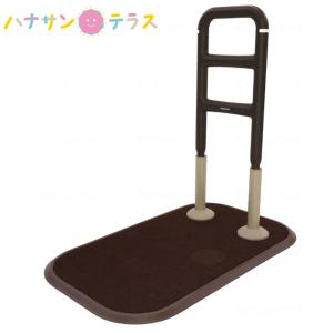 IBI 光線治療器 サナモア用 ジョイントカーボン 5箱セット(50本) 医療