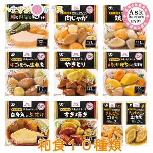 介護食 ムース食 エバースマイル 和食 10種セット