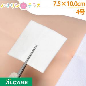 デルマエイド 8号 10.0×20.0cm 100枚 アルケア 創傷用吸収パッド 滅菌