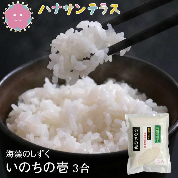 【新米】令和7年産 米 450g 3合 いのちの壱 特別栽培米 白米 精米 海藻のしずく 岐阜県産 ...