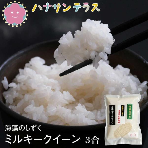 【新米】令和7年産 米  450g 3合 ミルキークイーン 特別栽培米 白米 精米 海藻のしずく 岐...