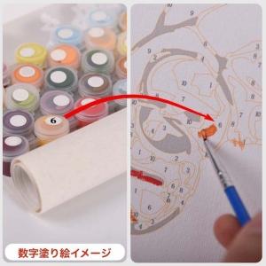 ギフト 数字油絵 大人の塗り絵 数字 塗り絵多...の詳細画像1