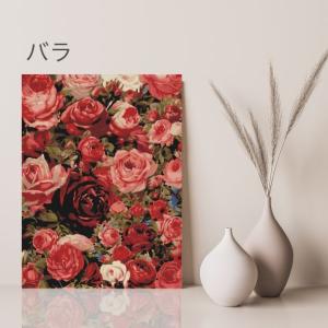 ギフト 数字油絵 大人の塗り絵 数字 塗り絵多...の詳細画像5