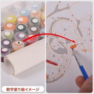 ペイントバイナンバー 大人の塗り絵 油絵 クリ...の詳細画像3