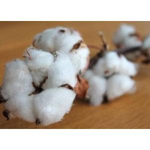 クールスカーフ 首 冷却 選べるデザイン 2本...の詳細画像4