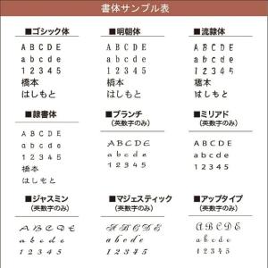 表札 おしゃれ ガラス 戸建て G-05 フレ...の詳細画像3