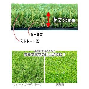 人工芝 サンプル 芝丈35mm 高密度 防草 ...の詳細画像5