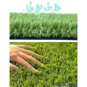 人工芝 ロール 1m×5m 芝丈35mm 高密...の詳細画像2